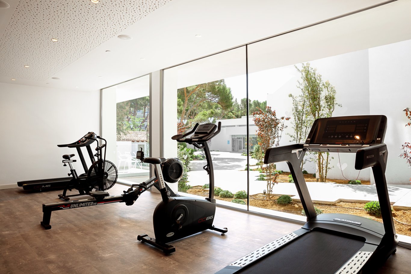 Gimnasio